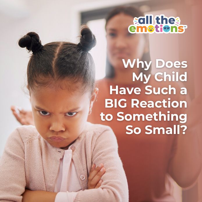 Why Does My Child Have Such a BIG Reaction to Something So Small?